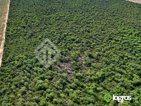 Campo ganadero con base agrícola de 2780 ha | Ruta Provincial 41, Anta | Salta