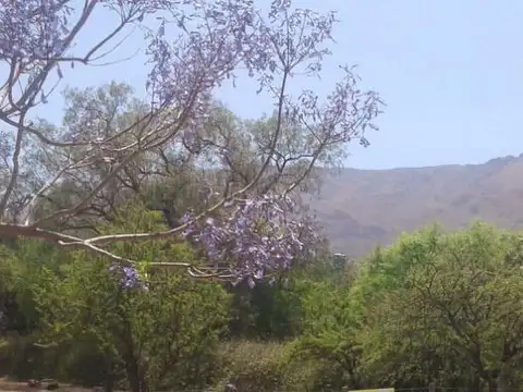 Terreno en Venta de 1508,0 m2