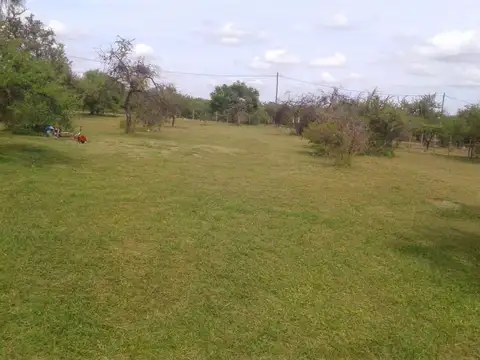 El Arrope y Pascual Morales