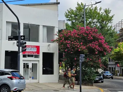 Local en Alquiler 8 años