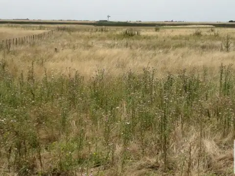 Ruta 11