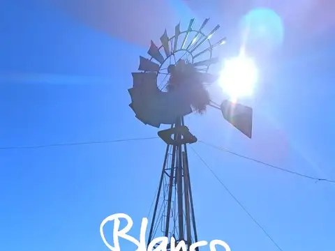 Terreno Campo  en Venta en Villa Huidobro, General Roca, Córdoba