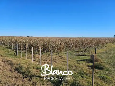 Sur de Huinca Renanco/Villa Huidobro -