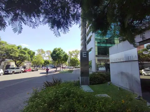 THEDY AL 100