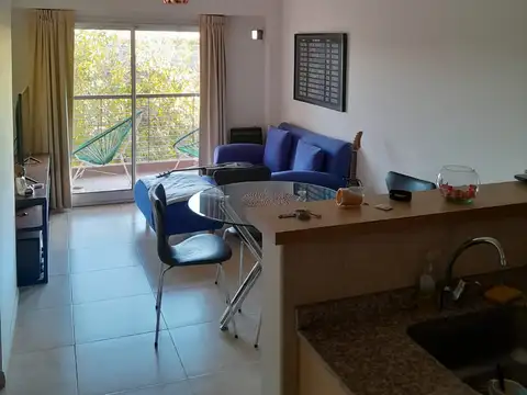 Departamento Dos Ambientes en Alquiler en MACONDA X