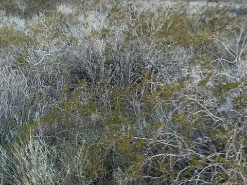 TERRENO EN LAS GRUTAS/PIEDRAS COLORADAS