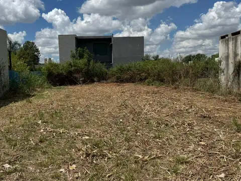 Terreno en Venta 12  mts Frente