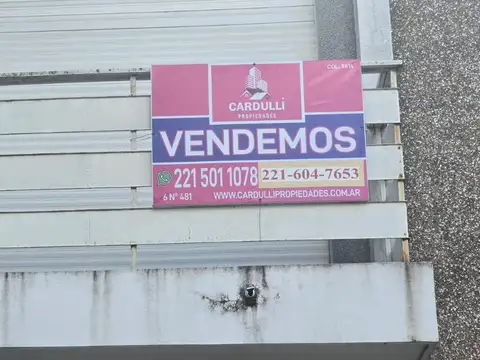 VENDO HERMOSA CASONA EN 63 Y 116-LA PLATA