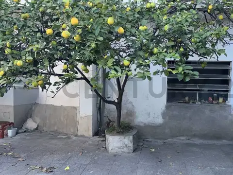 CALLE 8 2800, Piso 0