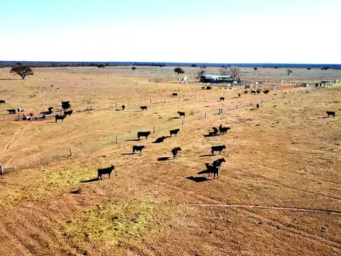 5.500 Has. Campo Ganadero en Unión, San Luis