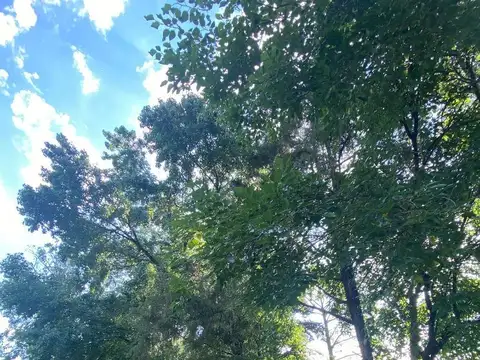 Terreno a la Venta, Barrio con Portón. Bella Vista