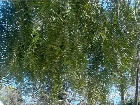 Terreno a la Venta, Barrio con Portón. Bella Vista