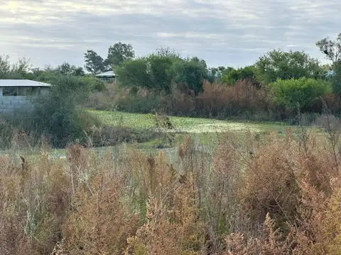 Terreno en Alquiler de 92367,0 m2