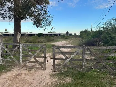 RUTA 19