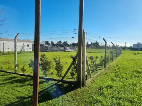 Terreno en Venta de 655,0 m2