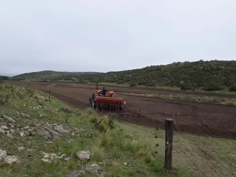 Manantial Blanco, San Luis