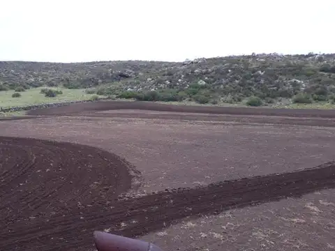Manantial Blanco, San Luis
