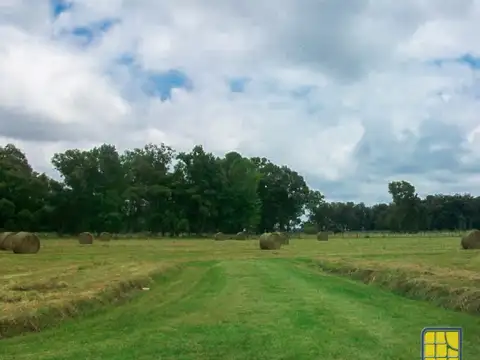 Campo en Venta de 5  ha