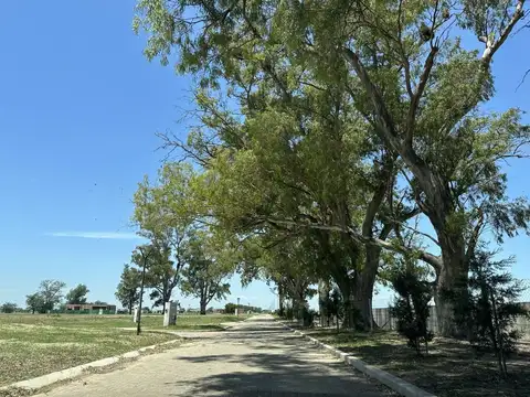 Terreno en Venta en Countries y Barrios Cerrados en San Vicente, USD 33.000