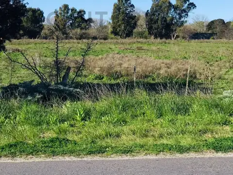 Av Montevideo y 105