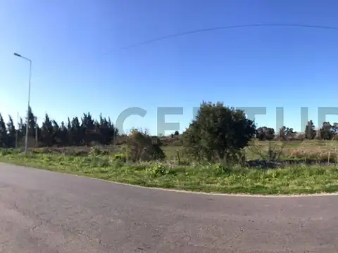 Hectáreas en venta en Los Talas - Berisso