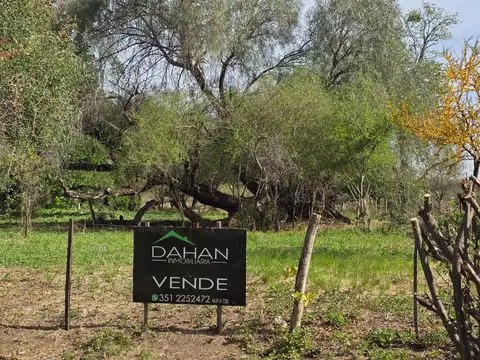 Terreno en Venta 25  mts Frente