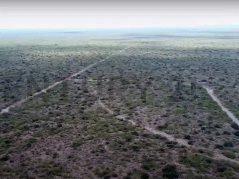 Venta campo en San Rafael