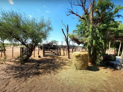 Ruta Provincial 153 100, Piso 0