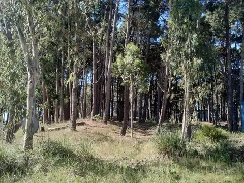 Terreno en Venta en Barrio Cerrado Costa Esmeralda, USD 120.000