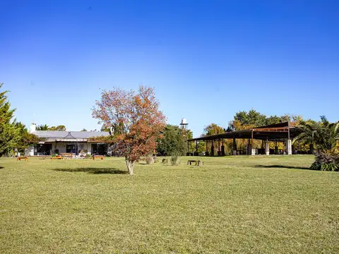 Campo de 32 ha. con infraestructura ideal Club de Polo o Equitación a 14 km. de Capilla del Señor