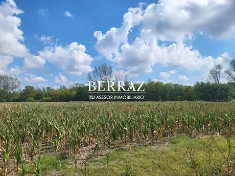 Fracción de Campo Agrícola en Venta 37 ha Lima, Zarate