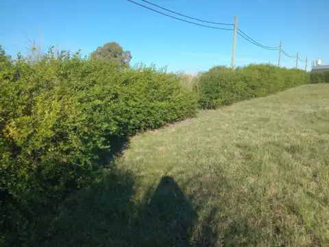 Terreno en Venta 42  mts Fondo