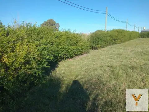 Terreno en Venta 42  mts Fondo