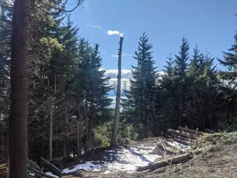 Terreno en Venta de 2033,0 m2