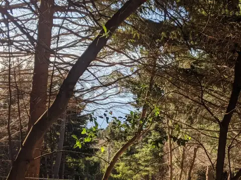 Terreno en Venta en San Carlos De Bariloche, USD 130.000