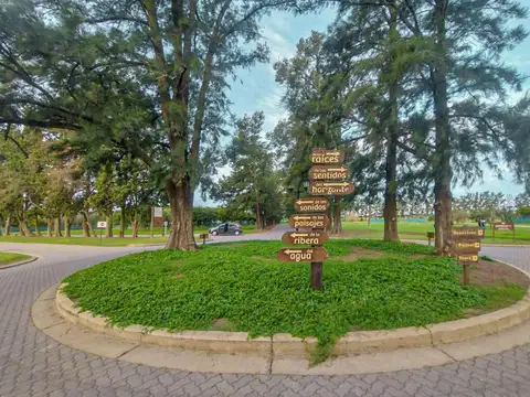 Terreno en Venta 46  mts Fondo