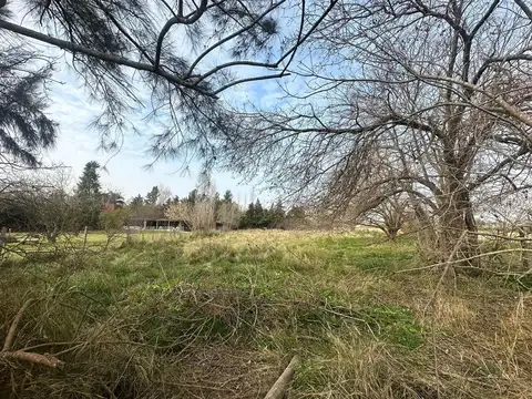 Terreno en Venta de 2960,0 m2