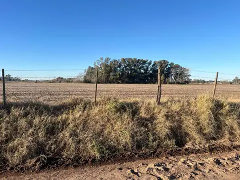 CAMPO 1,3 HECTÁREAS VENTA EN V. DEL PINO KM 44