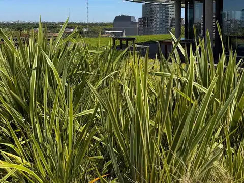 Oficina en Alquiler con 3 cocheras