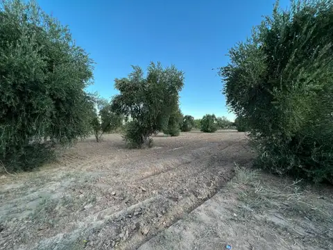 Campo en Venta de 0,75  ha