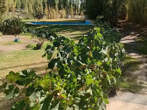 CHACRA EN VENTA EN ALLEN