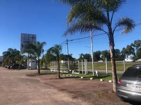 Local en Alquiler 10 años
