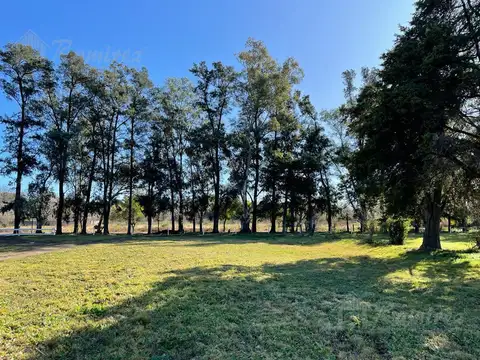 Lote Terreno En Venta 300 m2 - Parques del Morenito, Moreno
