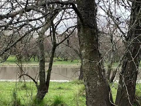 200 Hectareas Agricolas En Don Cristobal