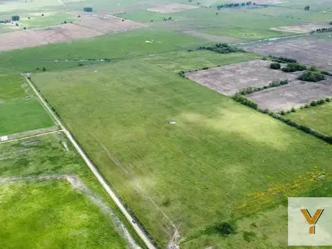 Campo en venta - 163.400Mts2 - Navarro