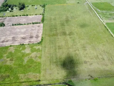 Campo en venta - 163.400Mts2 - Navarro