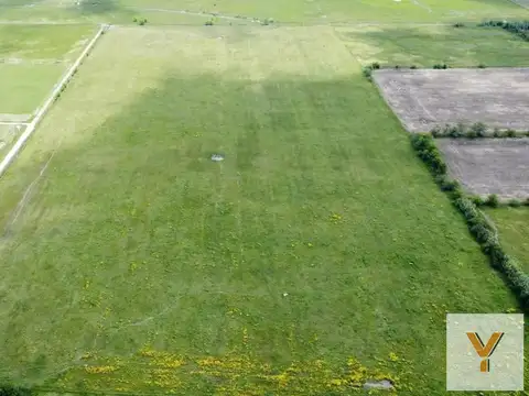 Campo en venta - 163.400Mts2 - Navarro