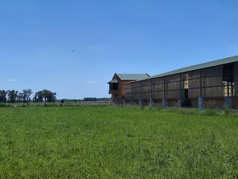 ruta nacional 6 calle rural, Las heras