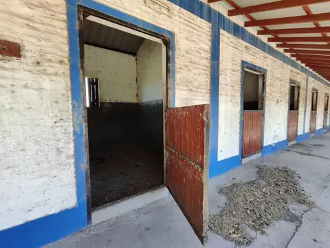 ruta nacional 6 calle rural, Las heras