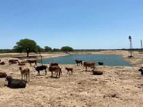 Campo en El Colorado